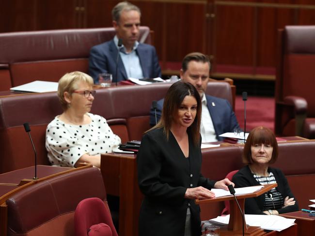 Tasmanian Senator Jacqui Lambie in the Senate today. Picture: Kym Smith