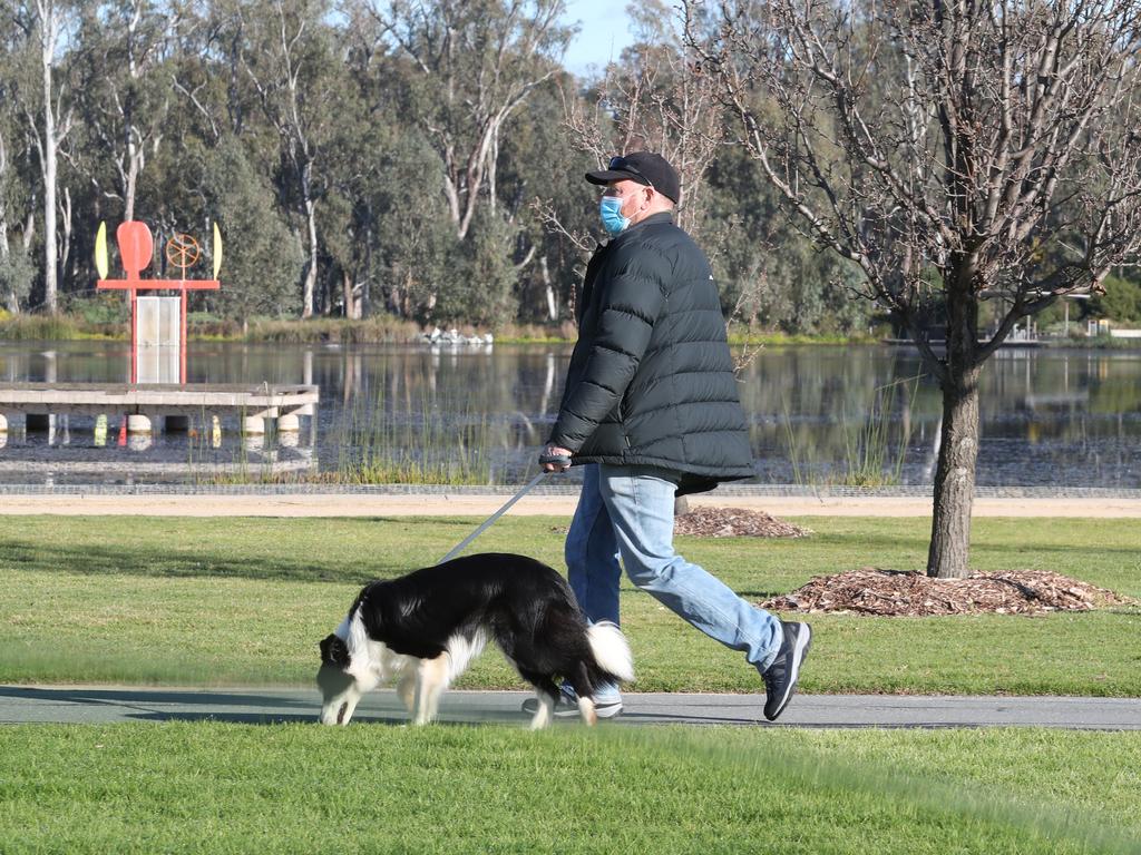 A Treasurers debate has turned to the issue of both parties promising expensive dog parks. Picture: NCA NewsWire / David Crosling