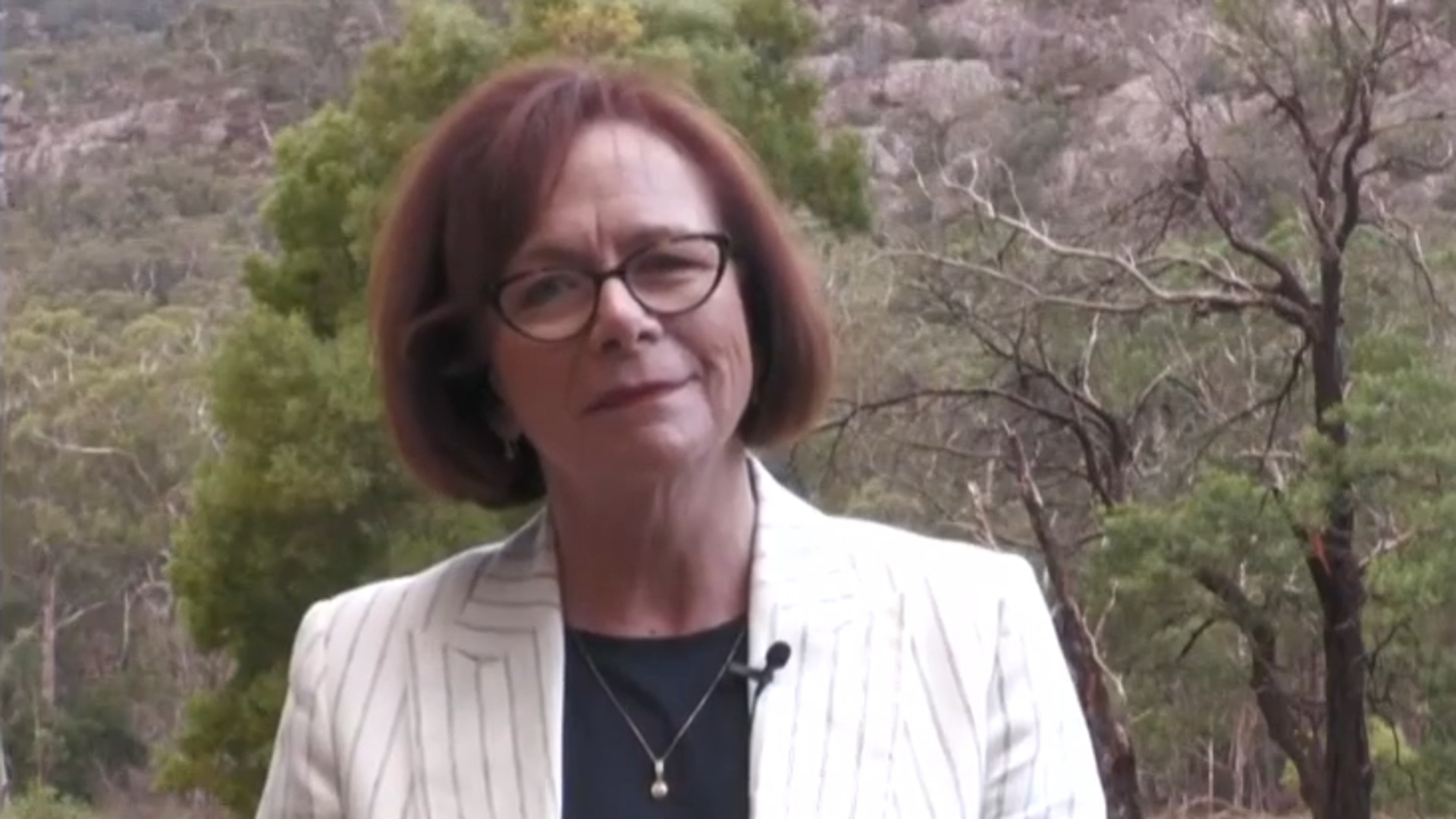National MP criticises Labor's renewable energy plans