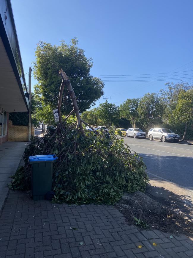 The car rolled and crashed into a tree and brick fence. Picture: Tia Ewen