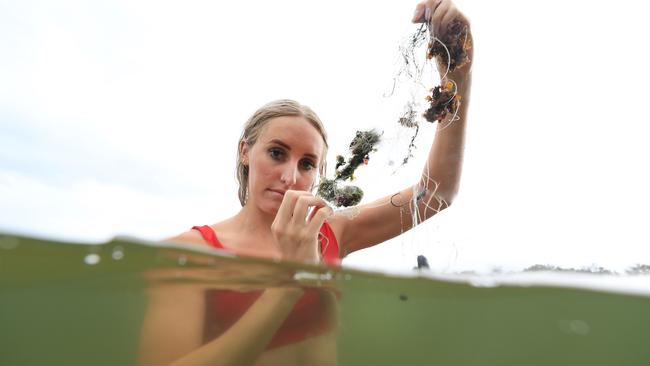 Australian Olympic swimmer Taylor McKeown taking part in Clean Up Australia Day on the Gold Coast last year. Queensland Academy Health Sciences says its JunkBot concept can collect and sort litter efficiently, saving the city millions of dollars. Picture: Adam Head