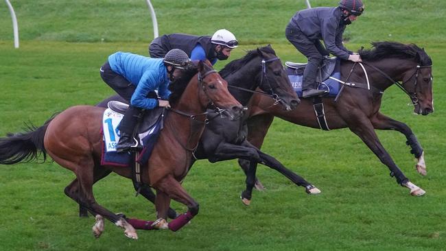 Cox Plate runners Aspetar (outside) and Sir Dragonet (middle) work alongside Thought Of That (inside) at The Valley last Saturday. Picture: Getty Images.