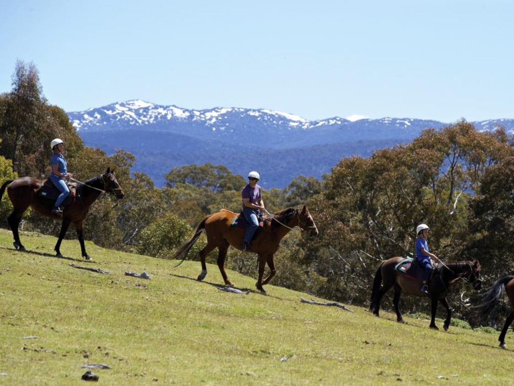 <span>7/21</span><h2>Snowy Mountains</h2><p>There’s a reason why the Snowy Mountains are famous, and it’s not just because of The Man from Snowy River poem (although with several riding tours dotted around, it’s hard not to feel inspired). It’s also because of the snow-capped peaks that trickle clear, cool water down mountain streams, the exhilarating mountain biking, and the bush walks through fields of wildflowers that have christened this place one of the most beautiful in the country. Get up high to suck this cool, clean air into your family’s lungs. Picture: Destination NSW</p>
