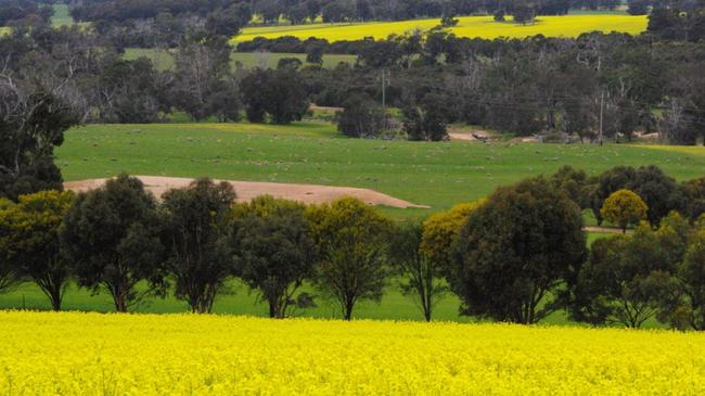 Victorian growers recorded average canola yields of 2.3 tonnes per hectare in 2020-21.