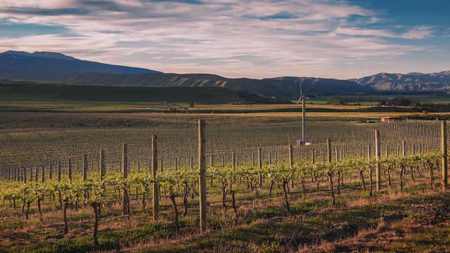 Waitaki Valley, a hot new winemaking region in New Zealand.