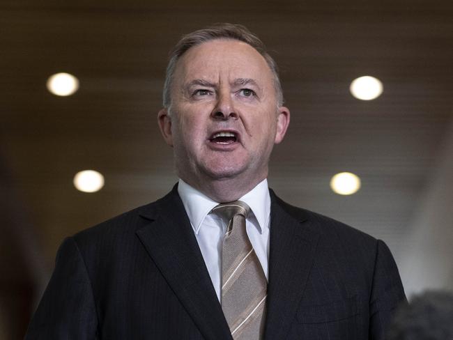 Labor leader Anthony Albanese in Canberra today. Picture: Gary Ramage