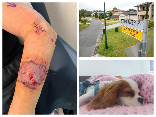 The locations of SEQ dog attacks revealed.