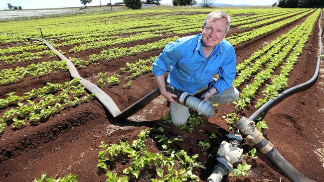 Jeremy Rockliff MP connects irrigation pipes on a crop of parsnips at Sassafras. Picture Chris Kidd