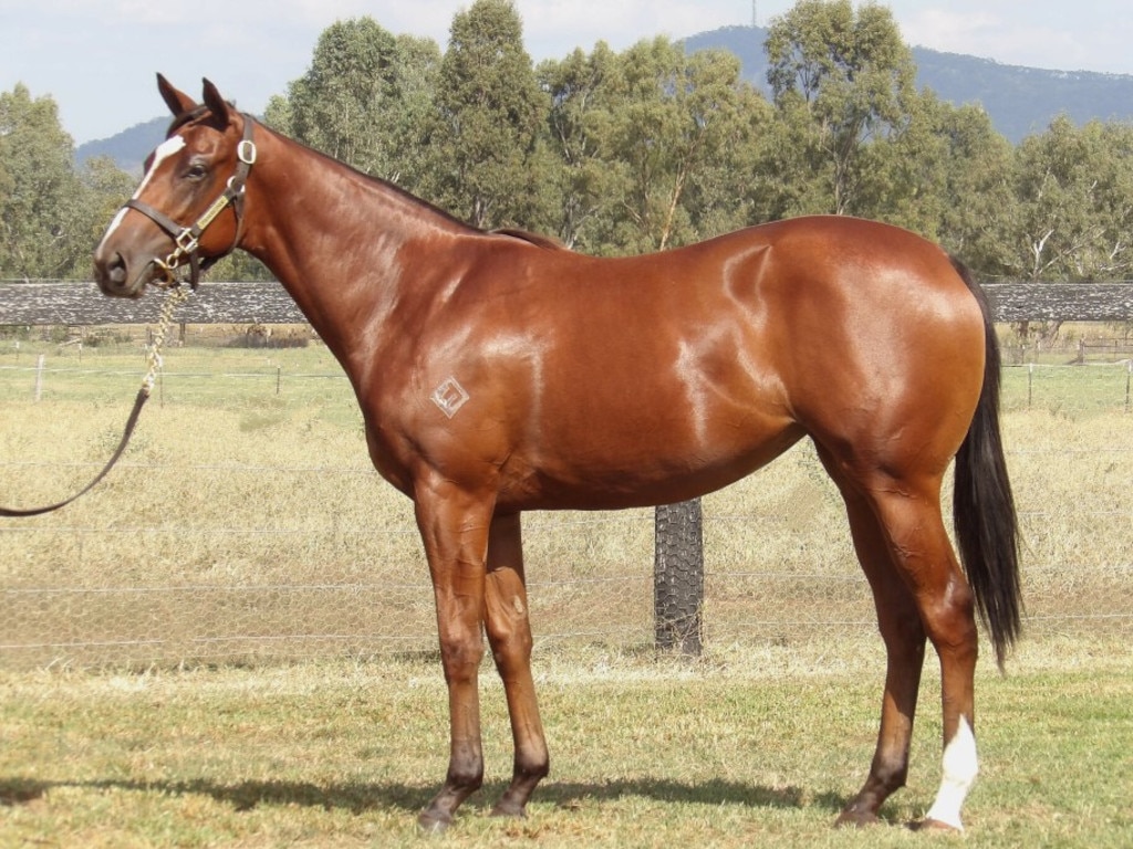 Lot 110 is a bay filly by super sire Justify out of the Fastnet Rock mare Left Bank.