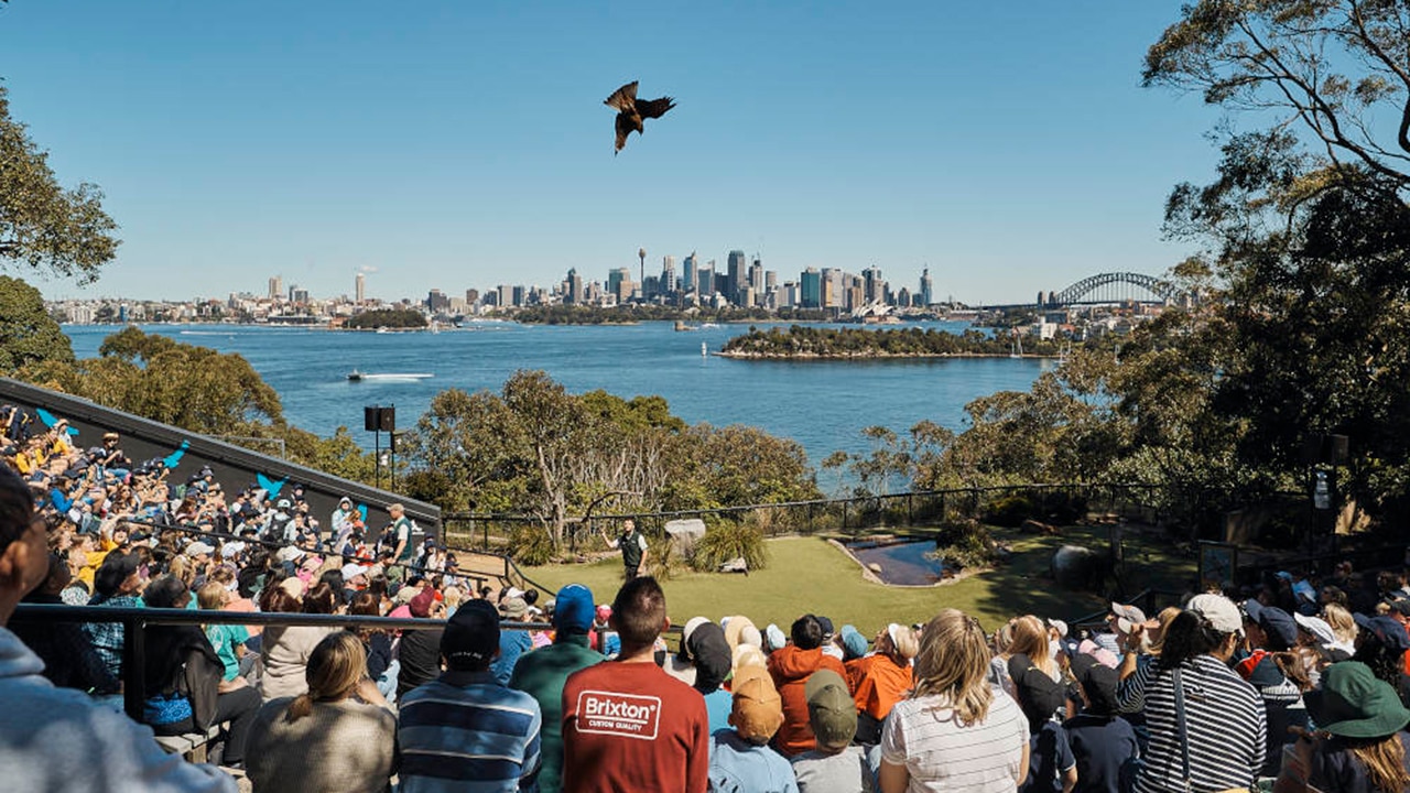 Taronga Zoo. Picture: Experience Oz