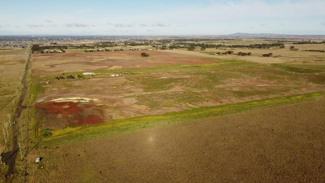 Seeds and weeds from the fill have rooted in the native grasslands. Picture: Adrian Marshall