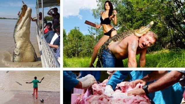 Best of croc art major evetn NT News