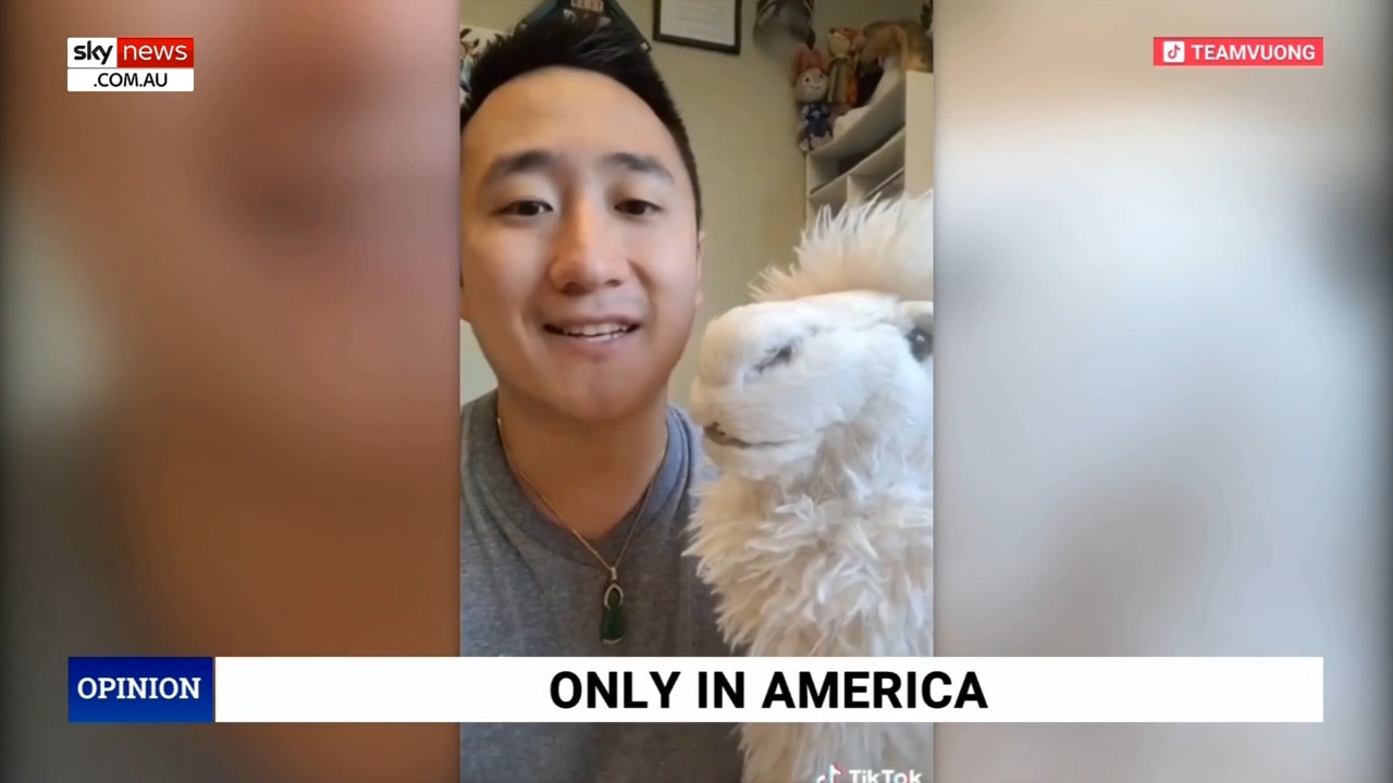 ‘Lunacy’: Sky News Host Reacts To Teacher Using ‘non-binary’ Alpaca To ...