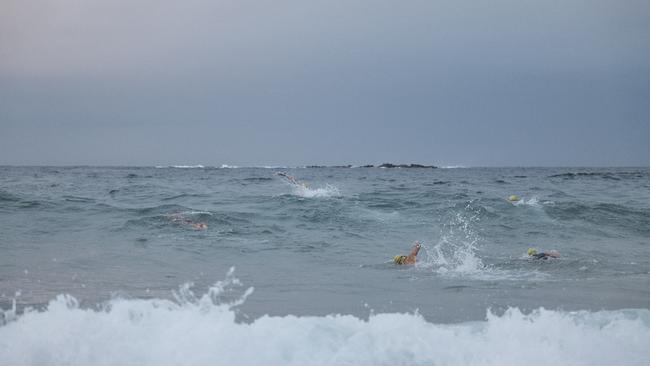 The swimmers head to sea. Picture: Kenny Smith