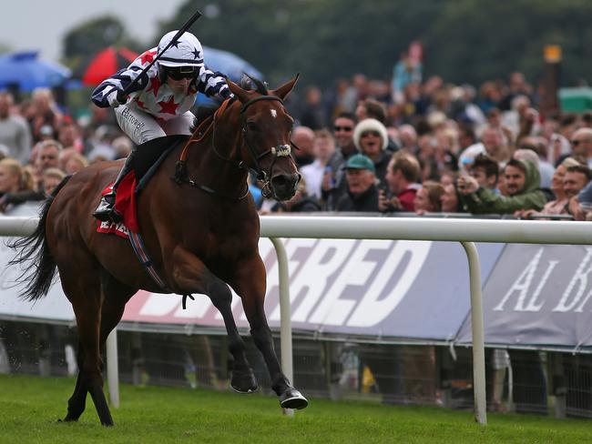 Genuine challenger: Heartbreak City takes out the Ebor at York in August. Picture: Getty Images