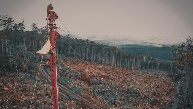 In the first forest protests since the coronavirus lockdowns, Anna Bursek stopped cable-logging logging at Mt Field by camping overnight on a porta-ledge. She was removed by a crane on Thursday afternoon, arrested and charged with trespass. Picture: BOB BROWN FOUNDATION