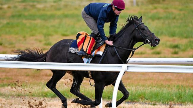 The Aidan O&#39;Brien trained The Cliffsofmoher galloping on the all weather track during a Werribee trackwork session at Werribee Racecourse on October 18, 2018 in Melbourne, Australia. (Photo by Vince Caligiuri/Getty Images). Picture: Vince Caligiuri