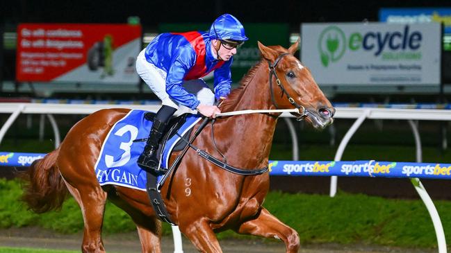 Golden Path in first emergency for the Golden Mile at Bendigo. Picture: Morgan Hancock/Racing Photos via Getty Images