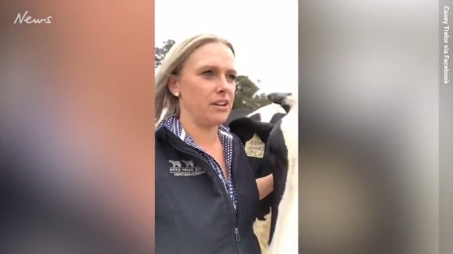 Dairy farmer farewells her cows