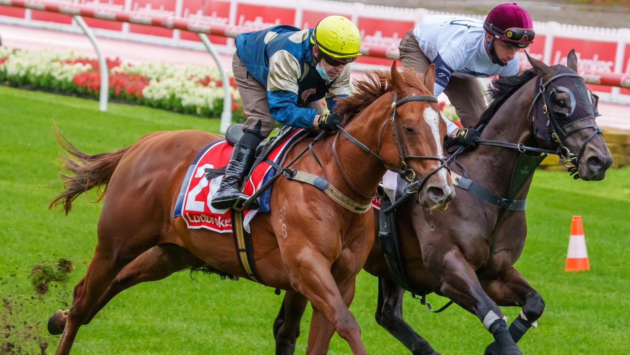 Moonee Valley trackwork