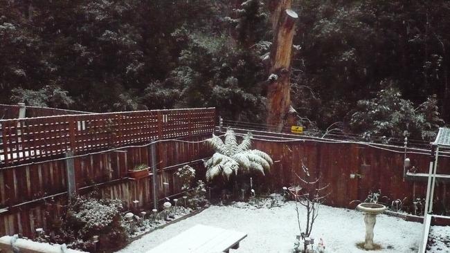 Snow in the back yard photo by Kath Kelly