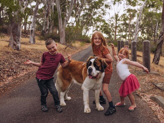 Kristen and Adam Ryan’s children and family dog Madeline. Picture: Supplied by family