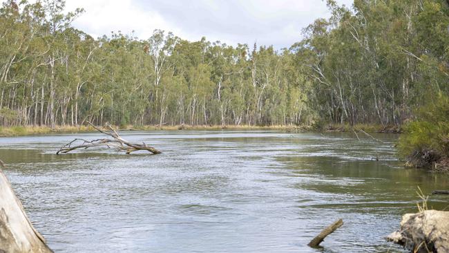 Choked trade: A water speculator is using sophisticated software to beat rivals in getting water trade through the Barmah Choke (pictured) Picture: Dannika Bonser