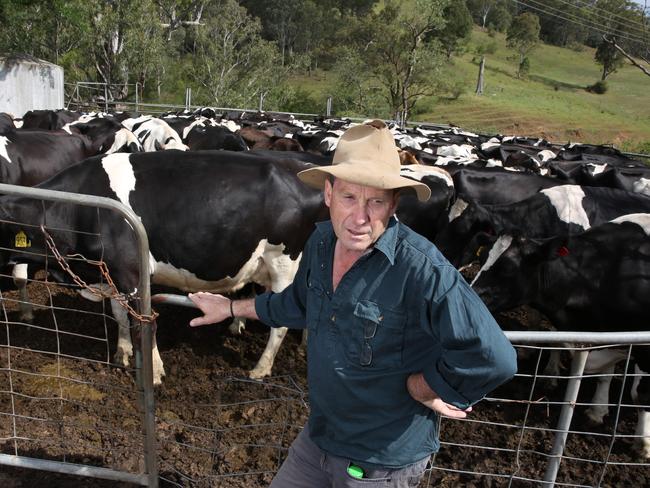 Farmer John Fairley will now be able to feed his 130-strong her. Picture: Robert Pozo