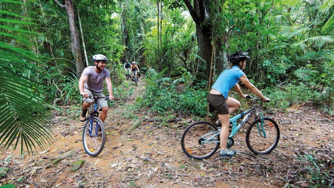 Top 10 natural encounters on the Cassowary Coast, Queensland | escape ...