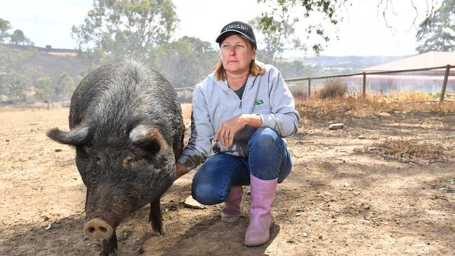 Kym Henley at Freedom Hill Sanctuary after last month’s Cudlee Creek bushfire. Picture: AAP/Keryn Stevens