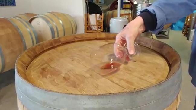 Is this the best way to taste wine?