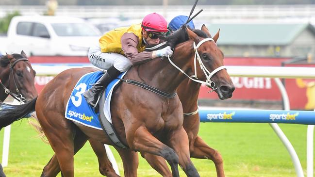 Field Of Play ridden by Blake Shinn wins the Sportsbet Blue Diamond Prelude (C&G) at Caulfield Racecourse on February 08, 2025 in Caulfield, Australia. (Photo by Pat Scala/Racing Photos via Getty Images)