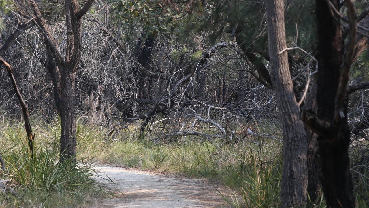 The popular nature reserve is close to housing estates in the growing Ocean Grove township. Picture: Alan Barber.