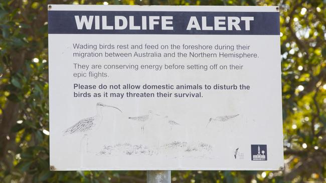 A sign at Nudgee Beach. Picture: Renae Droop