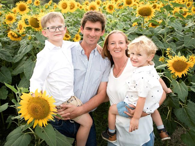 From veal farm to magnet for sunflower selfie chasers