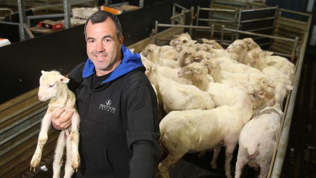 Scott Nicholson from Sohnic Merinos at Campbells Bridge. Picture: Yuri Kouzmin