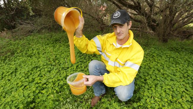 Will Holmes has dumped 60kg of honey after learning mozzie-killing insecticide was sprayed near his hives. Picture: Norm Oorloff