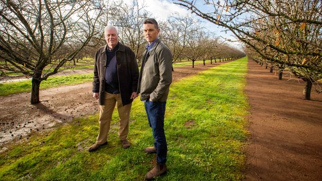 Almond grower Jim Pierson with son Ben at their property near Virginia in South Australia yesterday. Picture: James Elsby.