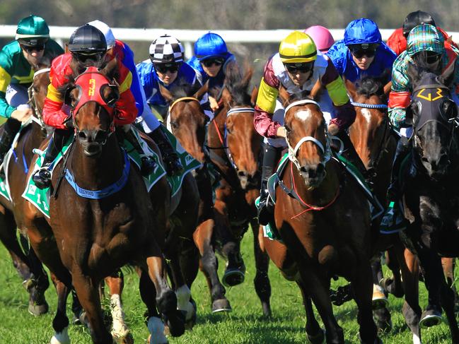 Loving home ridden by Tye Angland  (yellow cap, maroon with yellow armbands) wins race 1 during Scone  Races located in the Upper Hunter Region of NSW. The Bend . Pic Jenny Evans