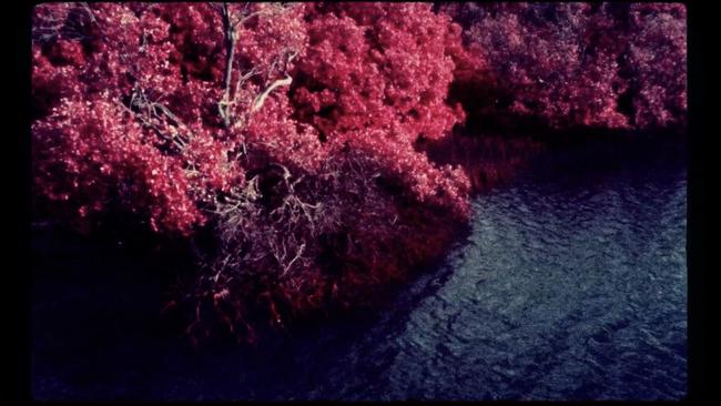 SA filmmaker Bryce Kraehenbuehl's experimental nature documentary Red Earth. Picture: Supplied