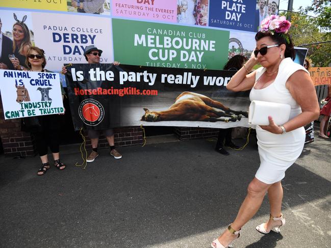 A racegoer walks past animal welfare activists as they protest outside the Eagle Farm racecourse. Picture: AAP/Dan Peled