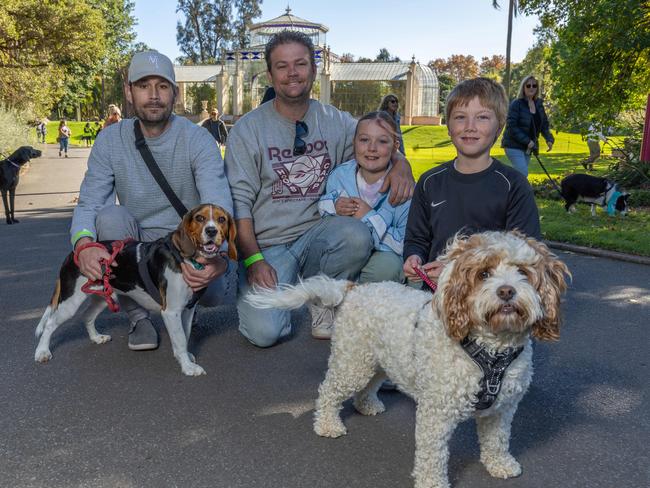 RSPCA SA's Million Paws Walk in Adelaide on May 25, 2025. Picture: Ben Clark