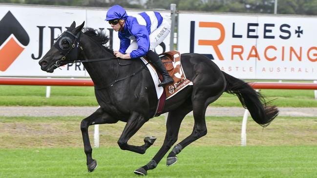 Wymark wins in track record time at Newcastle recently. Photo: Bradley Photos.