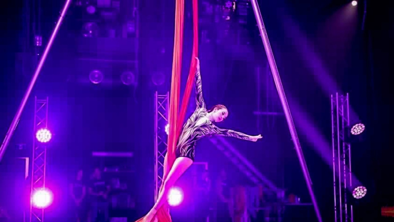 Aerial artists from Aerial Dynamics Cairns win national titles The