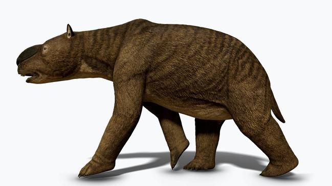 The 'Diprotodon optatum' (Giant Marsupial) is a megafauna species. Picture: Project Dig