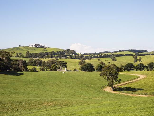 Image of Meeniyan, Victoria. Photographer: Josie Withers. Credit: Supplied: Visit Melbourne