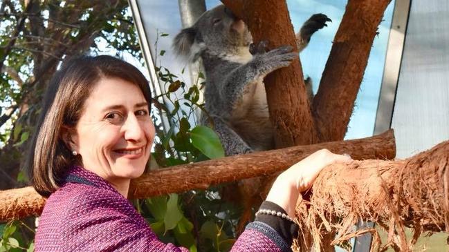 Premier Gladys Berejiklian was in a political brawl with the Nationals this week over koalas. Picture: Facebook