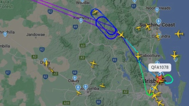 A Qantas flight has reportedly had to turn around after a suspected bird strike. Picture: Supplied.