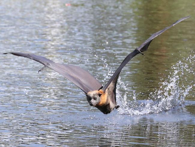 Sydney heatwave: Another scorching day, but there’s relief in sight ...