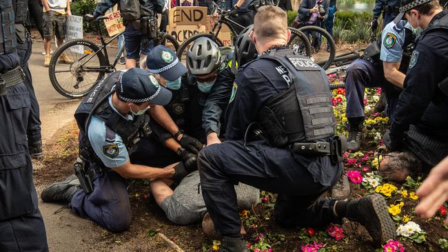 Nikola Dedovic being apprehended by police. Picture: Julian Andrews